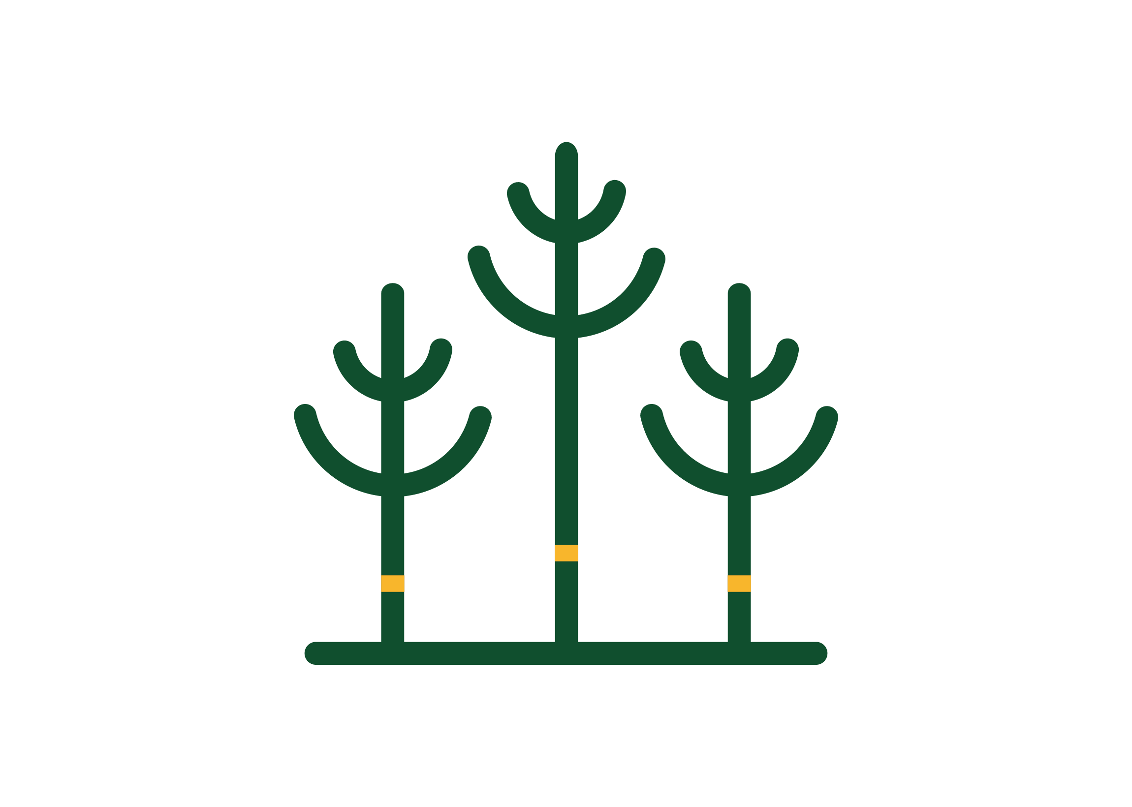 株式会社つぎきの森 ロゴ